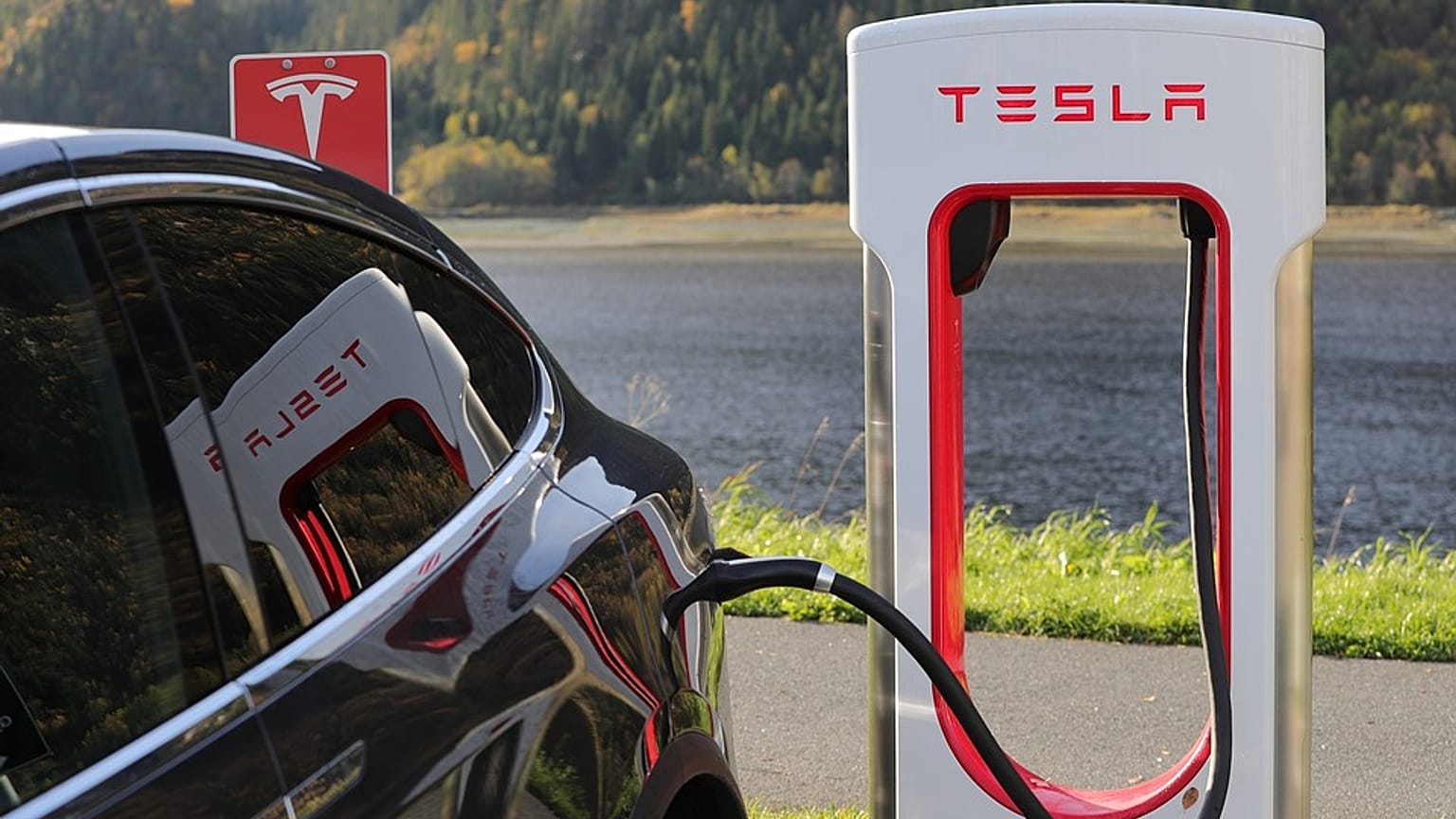 Zorlu Holding Tesla'ya rakip olacak
