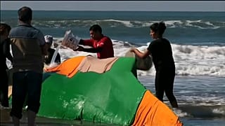 Борьба за жизнь горбатого кита не увенчалась успехом