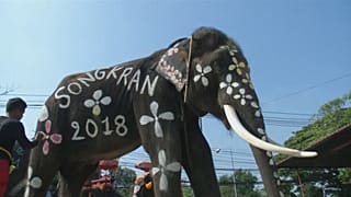 Thailand: Wilde Wasserschlacht mit Elefanten
