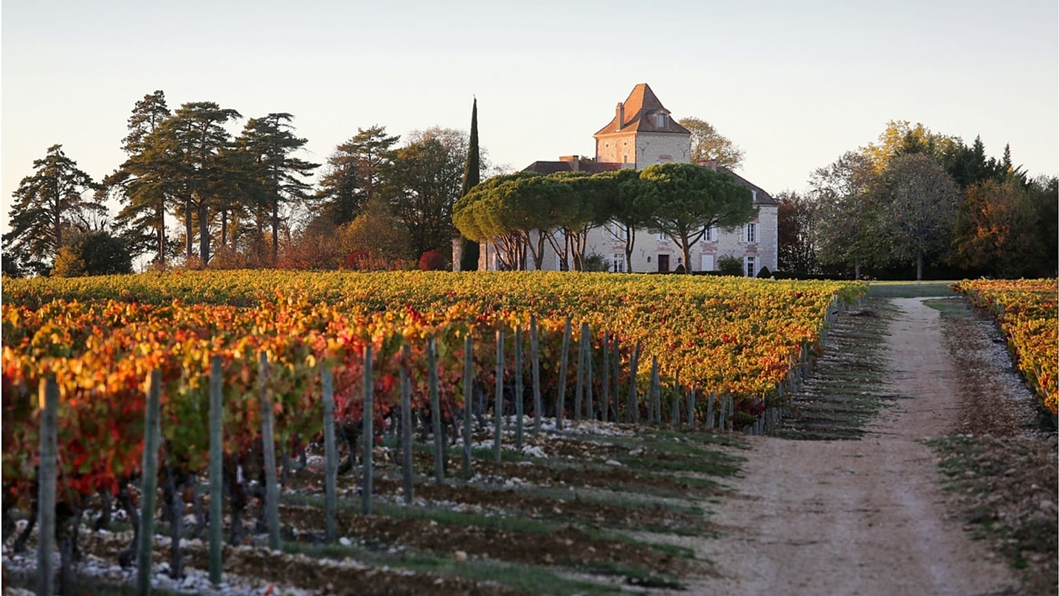  We tried agritourism and a Malbec wine tour in southwest France