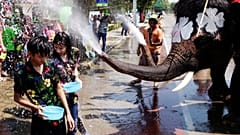 Água une pessoas e elefantes no festival de Ayutthaya