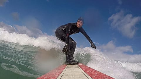 Surfing scientists and algae hunters use Sentinel-3 to study coastline