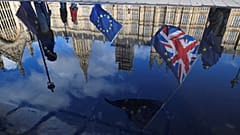 Green Brexit policy worse for environment, report finds