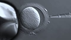 Ebeveynleri öldükten dört yıl sonra doğan bebek
