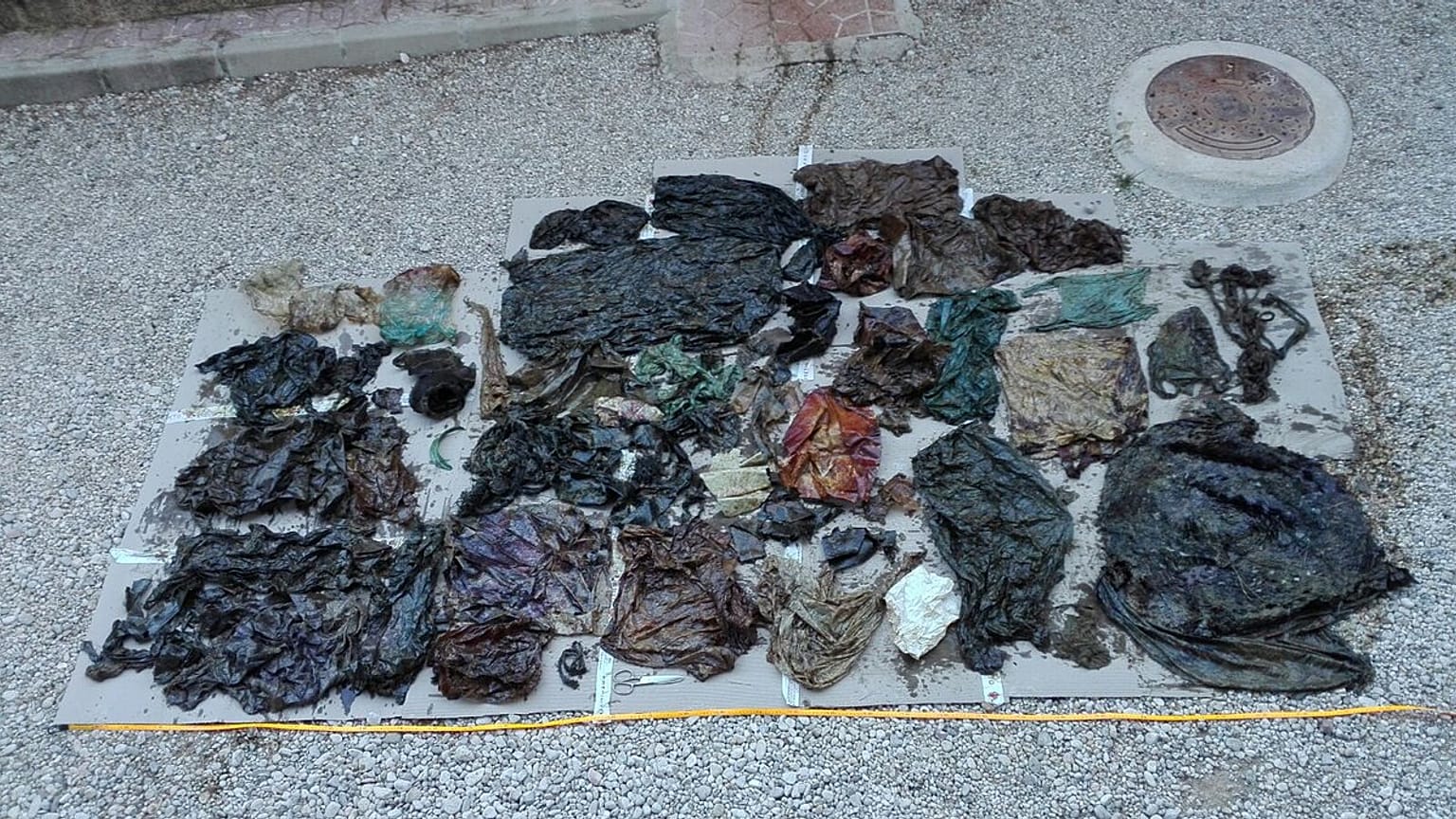 Questa è la plastica che ha ucciso una balena: è stata trovata nel suo stomaco