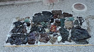 Questa è la plastica che ha ucciso una balena: è stata trovata nel suo stomaco