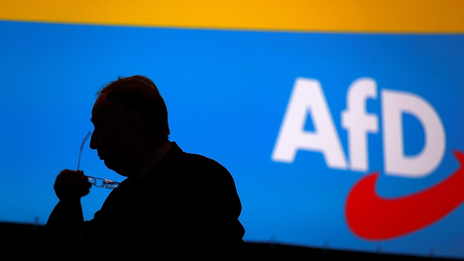 "Krasses Medienecho": AfD zu Schwerbehinderten, Inzucht und Einwanderern