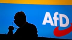 "Krasses Medienecho": AfD zu Schwerbehinderten, Inzucht und Einwanderern