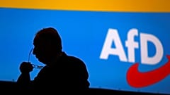 'Little enquiry' letter by anti-immigrant AfD links severe disability with immigration