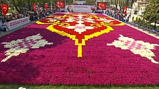 Dünyanın en büyük lale halısı İstanbul Lale Festivali'nde 