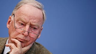 AfD stellt sich hinter Russland