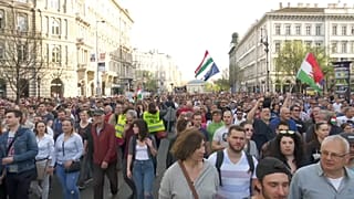 Húngaros pedem a recontagem dos votos 