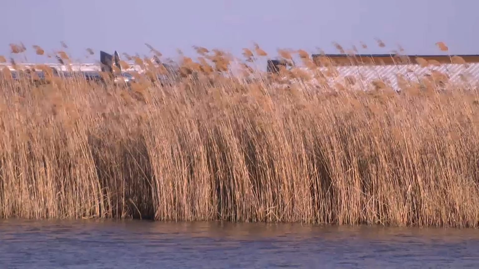 Hallan el cuerpo de una mujer en el lago Neusiedl, en Austria