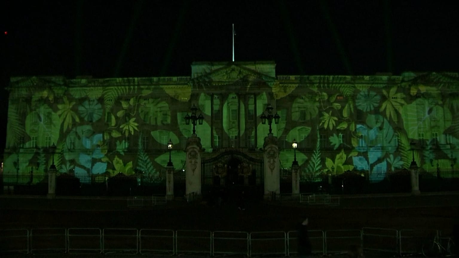 Rainforest lights up Buckingham Palace 