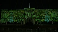 Rainforest lights up Buckingham Palace 