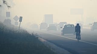 Incendie de forêt en banlieue de Sydney