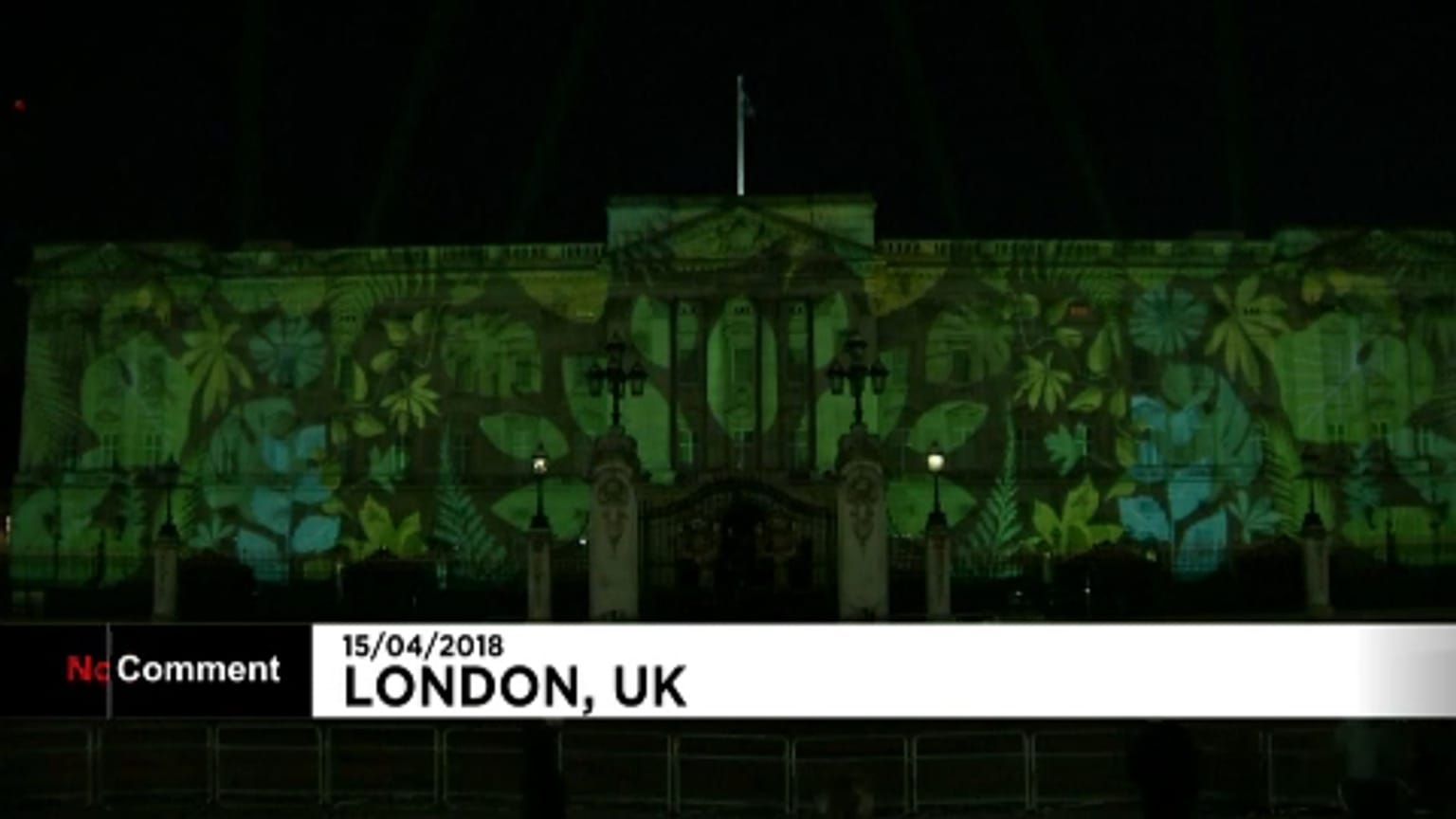 Őserdőbe borult a Buckingham-palota