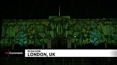 Őserdőbe borult a Buckingham-palota