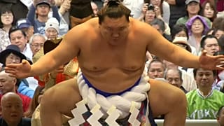 Festival brings sunshine to scandal-hit sumo wrestling