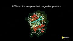 Wissenschaft: Ein Enzym, das Plastik "fressen" kann
