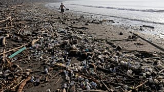 Une enzyme mutante dévoreuse de plastique