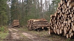 Elmarasztalta Lengyelországot az Európai Bíróság