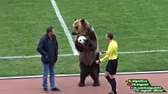 Állati meccs – medve hozta a labdát