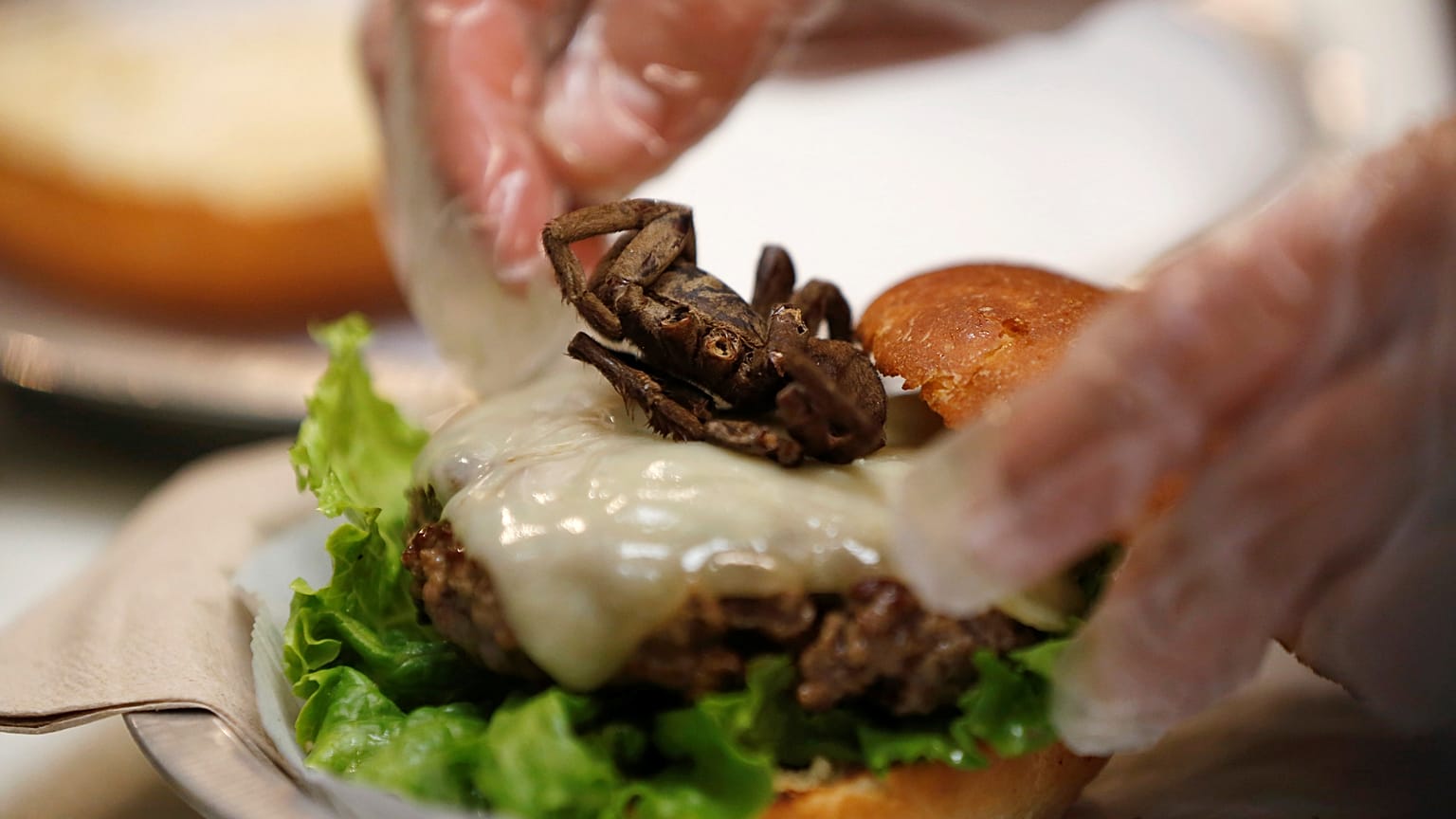 ¿Barritas con polvo de grillo o gusanos búfalo con chili picantes?