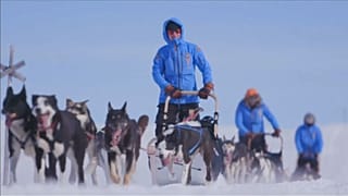 Путешествие по арктической тундре
