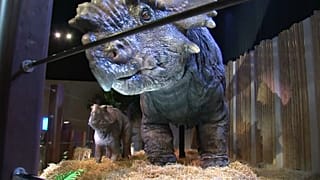 Ein Dinosaurier auf der Jurassic World Exhibition in Saint-Denis.