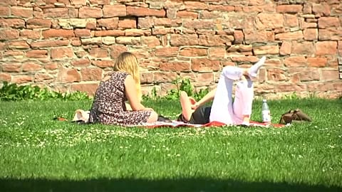 Locals sunbathing in Frankfurt