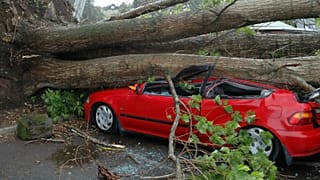 Copernicus to provide new windstorm data resources for the insurance sector