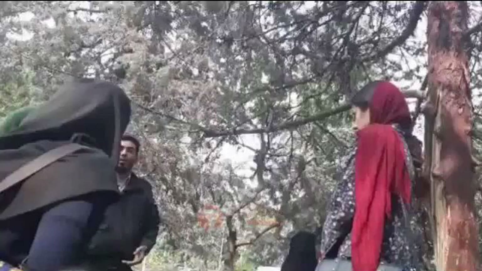 برخورد ماموران انتظامی گشت ارشاد با دختر معترض به حجاب اجباری
