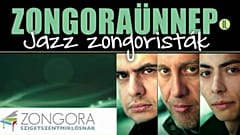 Koncerttel gyűjtenek a város zongorájára 