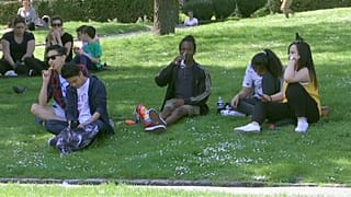 Pariser genießen das Wetter im Park.
