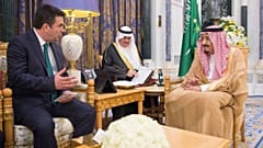 دیدار پادشاه عربستان سعودی و رئیس کمیته فرعی همکاری‌های ناتو
