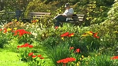 Über 28 Grad: Hochsommer im April