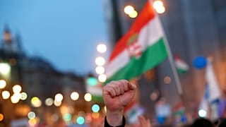 Macaristan'da seçim protestoları sürüyor