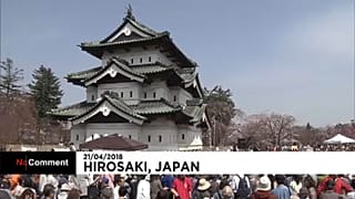 Cseresznyefa-virágzás Japánban