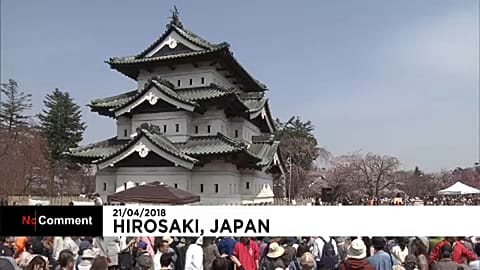 Cseresznyefa-virágzás Japánban