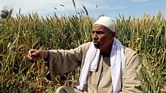 مزارعون مصريون يواجهون مصيراً مجهولاً بسبب سد النهضة الأثيوبي