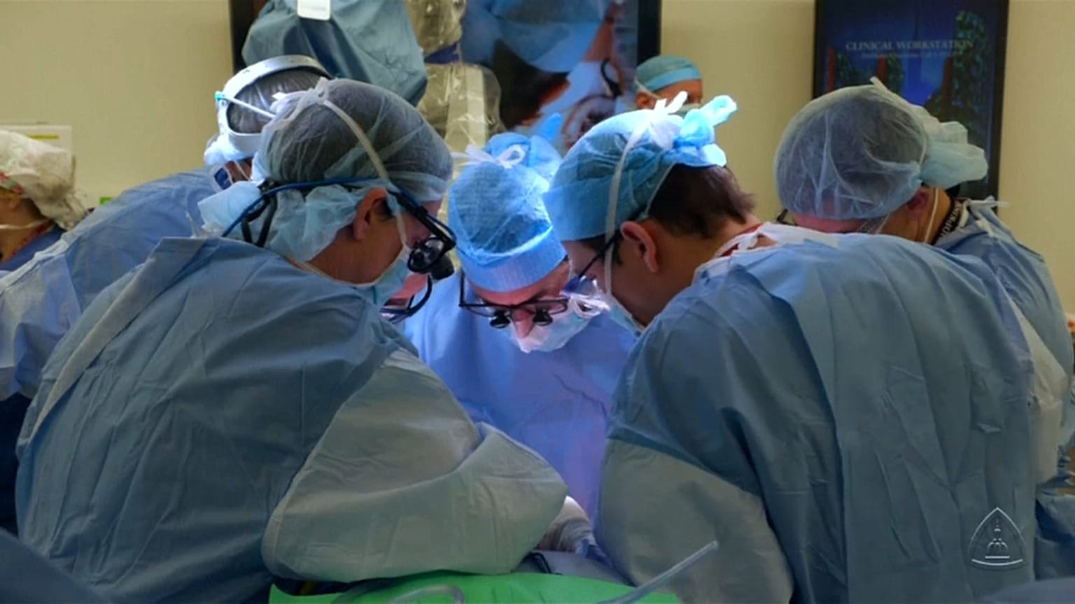 Une première mondiale de greffe de pénis et de scrotum