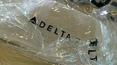 Passageira da Delta Airlines multada em 500 dólares por guardar maçã