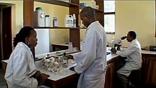 La giornata mondiale contro la malaria