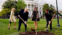 Трамп и Макрон посадили дерево, став новым мемом