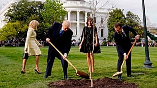 Трамп и Макрон посадили дерево, став новым мемом