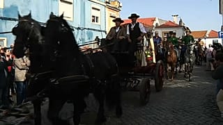 Romaria a Cavalo Moita-Viana do Alentejo