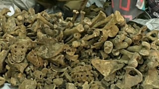 Valas comuns encontradas perto de Kigali 