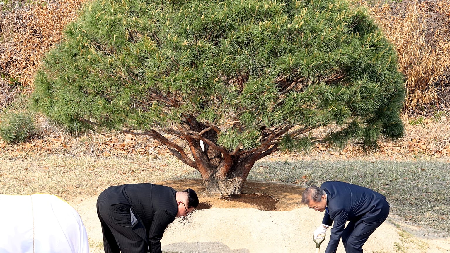 Große Ankündigungen in Korea