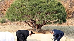 Große Ankündigungen in Korea